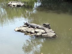 -上海野生动物园