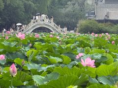 -莲池书院博物馆