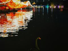 -洛阳市隋唐城遗址植物园