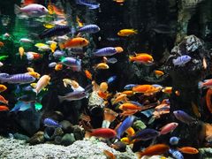 -太平洋海底世界