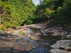 -广州白江湖森林公园