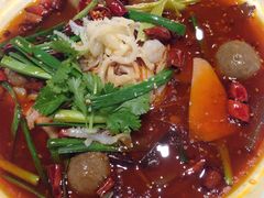 -新吉士·上海菜(浦东LCM置汇旭辉店)