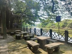 -小洲村