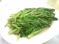蒜蓉油麦菜-小贝壳酒楼(经九路店)
