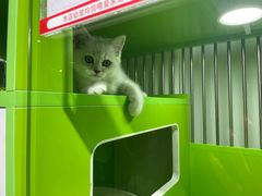 -唐小姐の猫狗洗护·购宠旗舰店(周浦万达店)