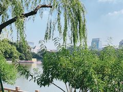 -西湖公园(鼓楼区)