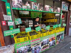 -召稼楼永茂昌粽子大王