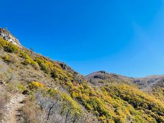 -灵山
