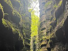 -梭布垭石林景区