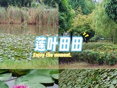 -凤城河风景区