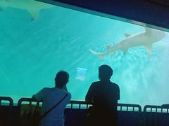 -北戴河圣蓝海洋公园