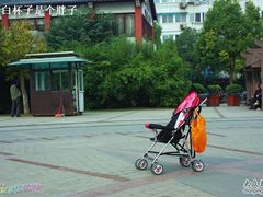 -郑和公园