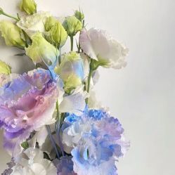 -小梨·OndaPro·专业脱毛连锁机构