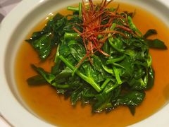 清炒鸡毛菜-屋里厢上海菜馆