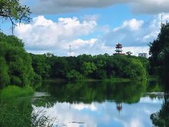-龙沙公园