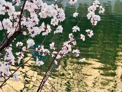 -南长河公园