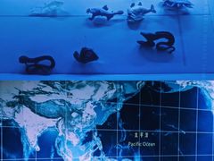 -同济大学四平路校区深海探索馆