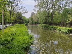 -长白岛森林公园