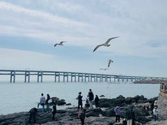 -黑石礁公园