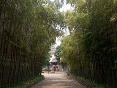 -龙潭水乡