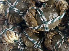 -三旗百汇商品城