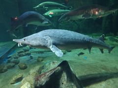 -华夏文旅海洋公园