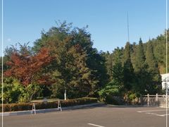 -棒棰岛宾馆景区