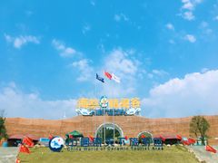 -瓷天下海丝谷