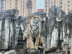 -上海野生动物园