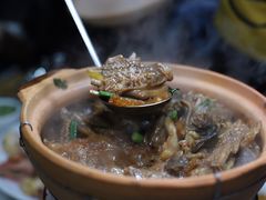 -广宁炭炉鸡煲·富临门饭店