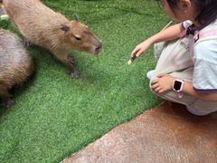 -正佳雨林生态植物园