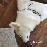 贴心探店039|1%的人会找到的咖啡馆