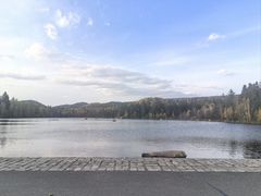 -五营红松林海景区