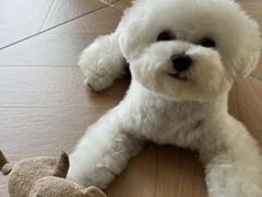 -德元·美联众合24小时动物医院(总院)