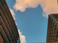 -香港大学