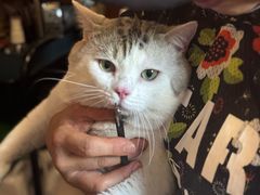 -云端咖啡私房店(河松街店)