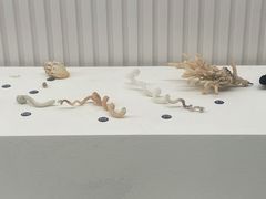 -青岛贝壳博物馆