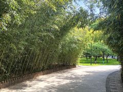 -莲花池公园