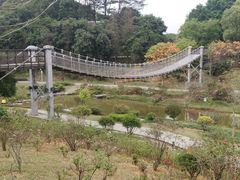 -东莞植物园