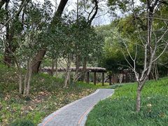 -徐家汇源景区-衡山公园