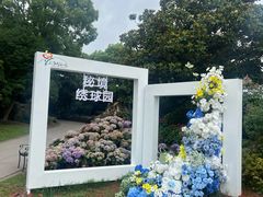 -上海鲜花港
