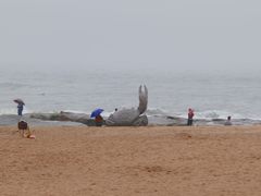 -日照灯塔风景区