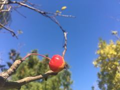 -中关村生命科学园