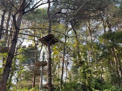 -芦仙山景区-飞越丛林探险乐园