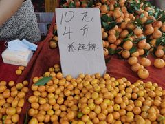 -细村农贸综合市场