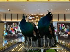 -西双版纳融创皇冠假日度假酒店