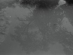 -窦大夫祠