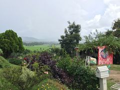 -黄色小屋
