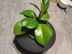 -山居荣府·富阳宴