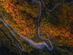 -光雾山旅游景区